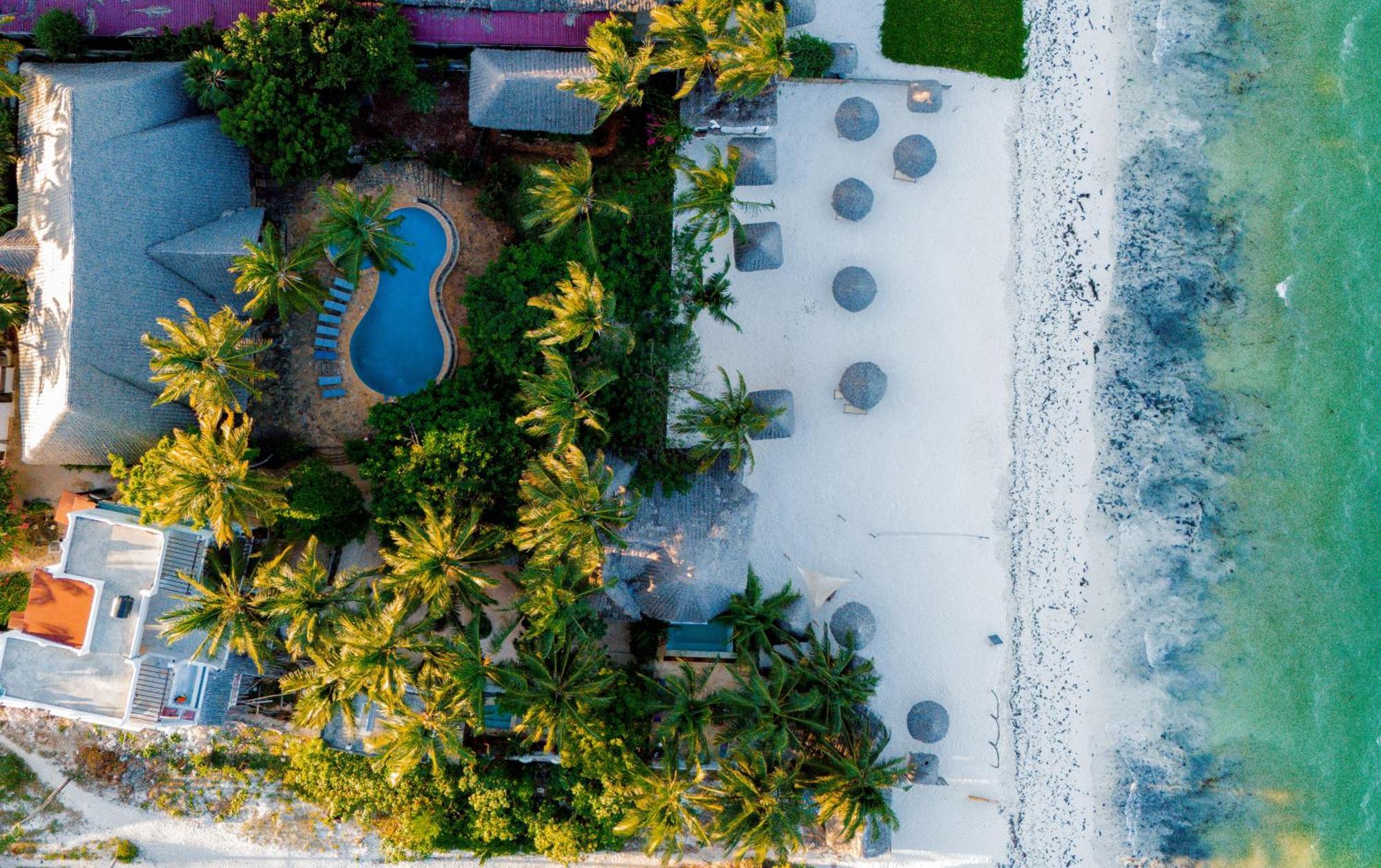Swahili Palace Zanzibar プワニ・チャンガーニ エクステリア 写真