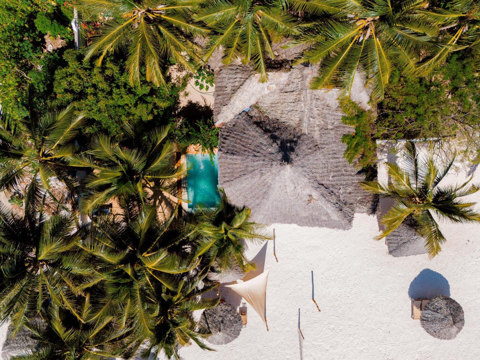 Swahili Palace Zanzibar プワニ・チャンガーニ エクステリア 写真